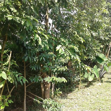 Plastic Bottles House Entebbe Luaran gambar