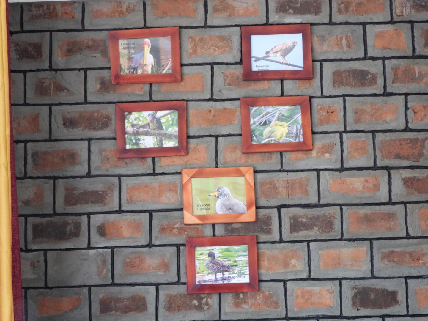 Plastic Bottles House Entebbe Luaran gambar